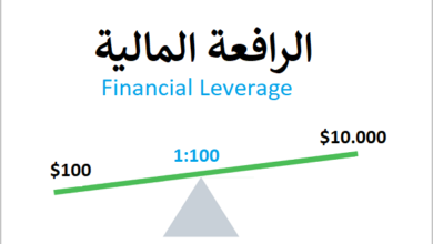 الرافعة المالية